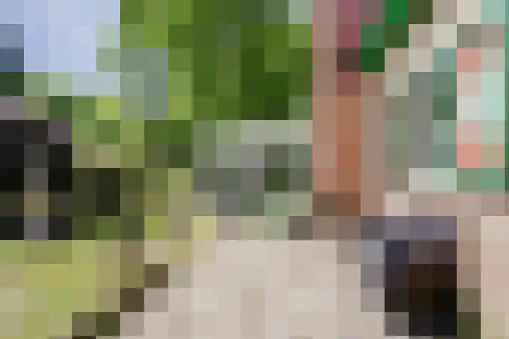 Parklaan 116 Putte thumbnail 26