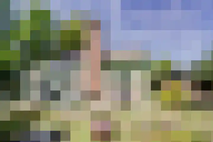 Parklaan 116 Putte thumbnail 27