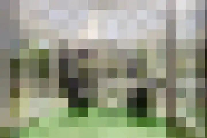 Parklaan 116 Putte thumbnail 28