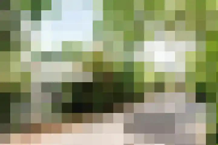 Parklaan 116 Putte thumbnail 30