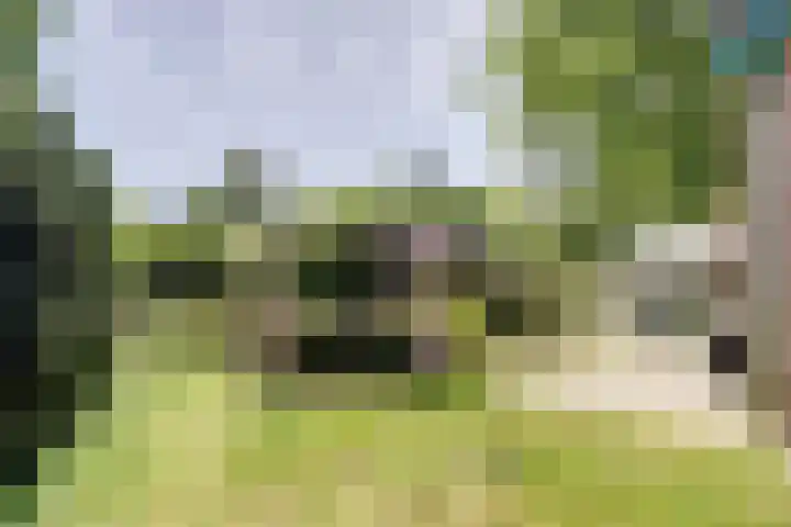 Parklaan 116 Putte thumbnail 32