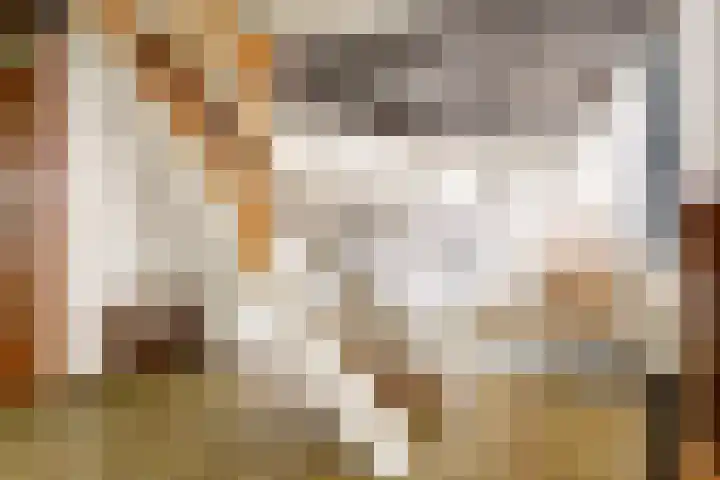 Parklaan 116 Putte thumbnail 7