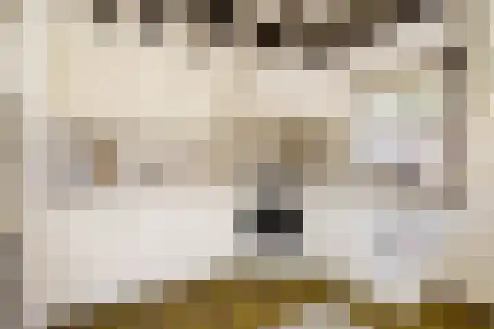 Parklaan 116 Putte thumbnail 8