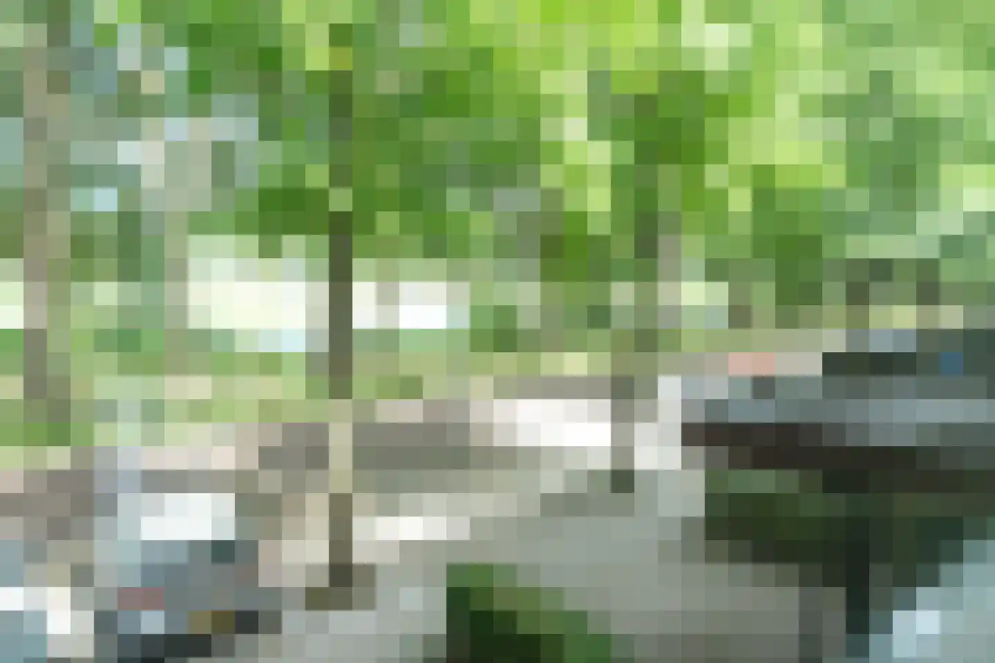 Parklaan 117 Culemborg thumbnail 12