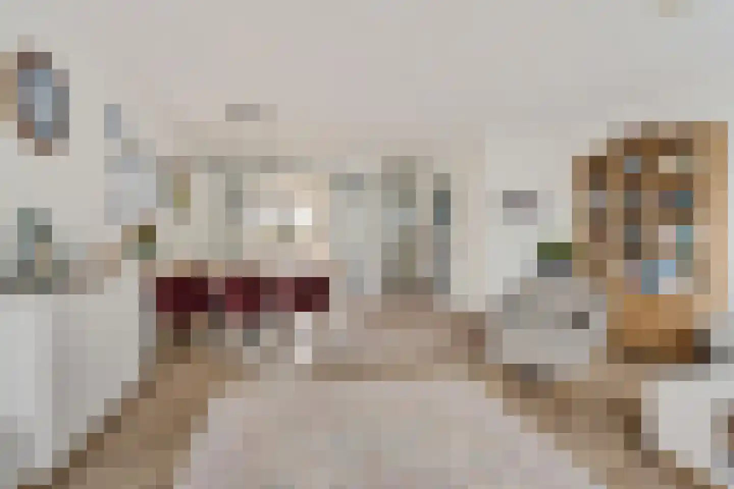 Parklaan 117 Waddinxveen thumbnail 18