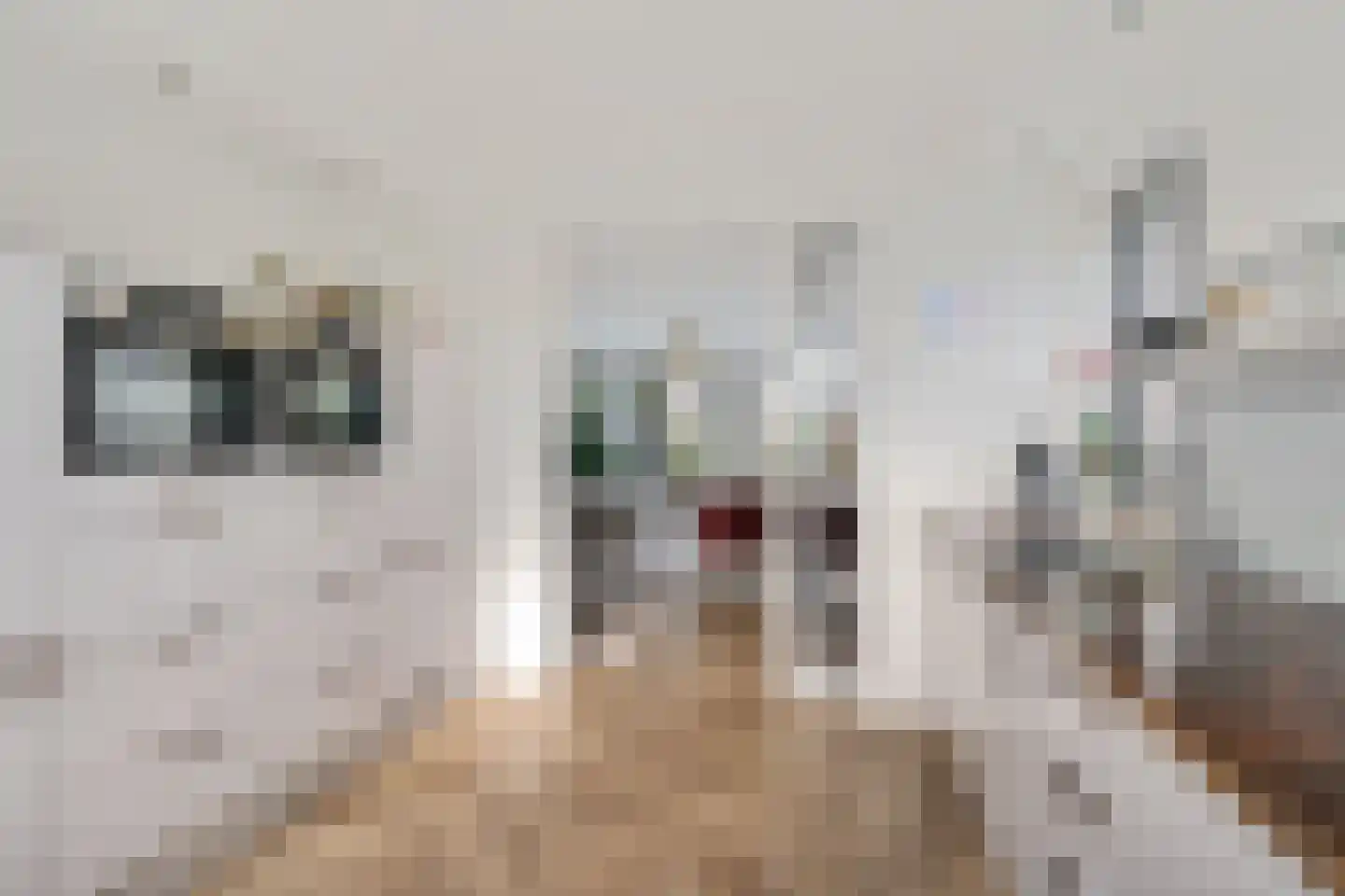 Parklaan 117 Waddinxveen thumbnail 23