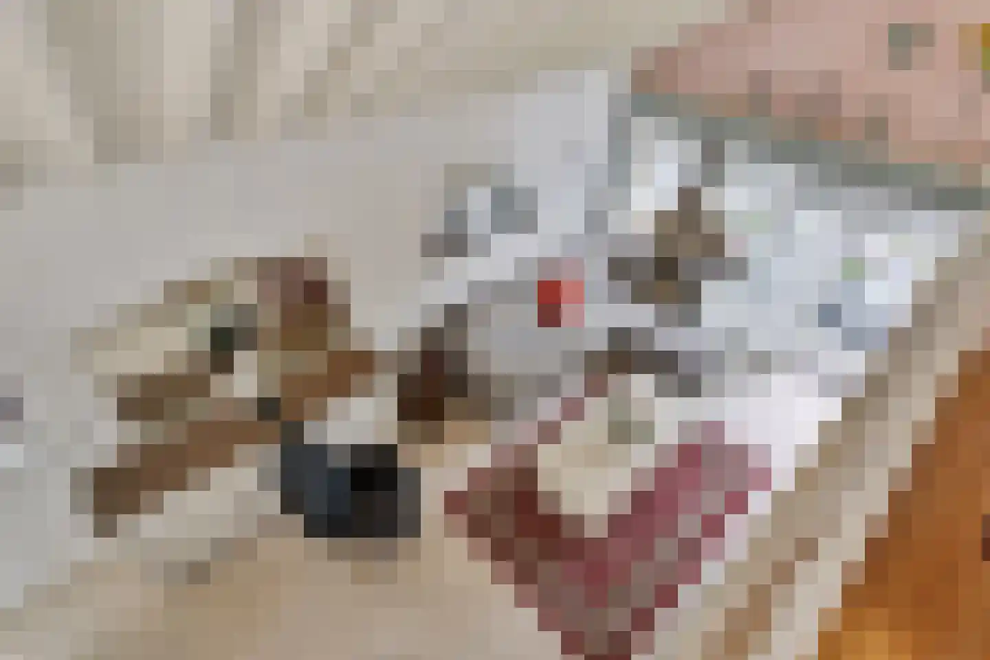 Parklaan 118 Putte thumbnail 10