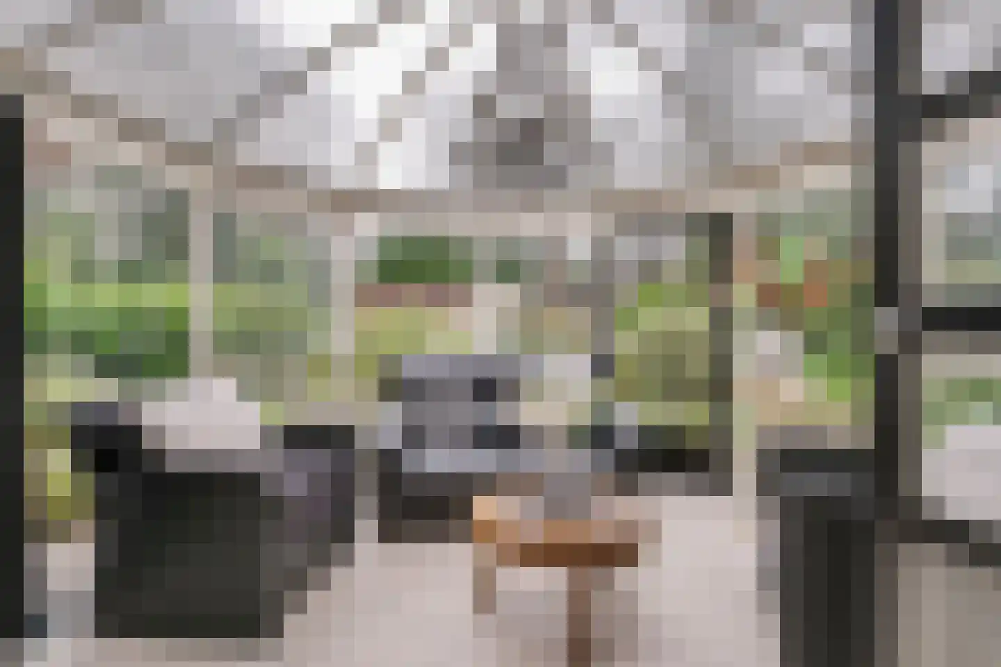 Parklaan 118 Putte thumbnail 11