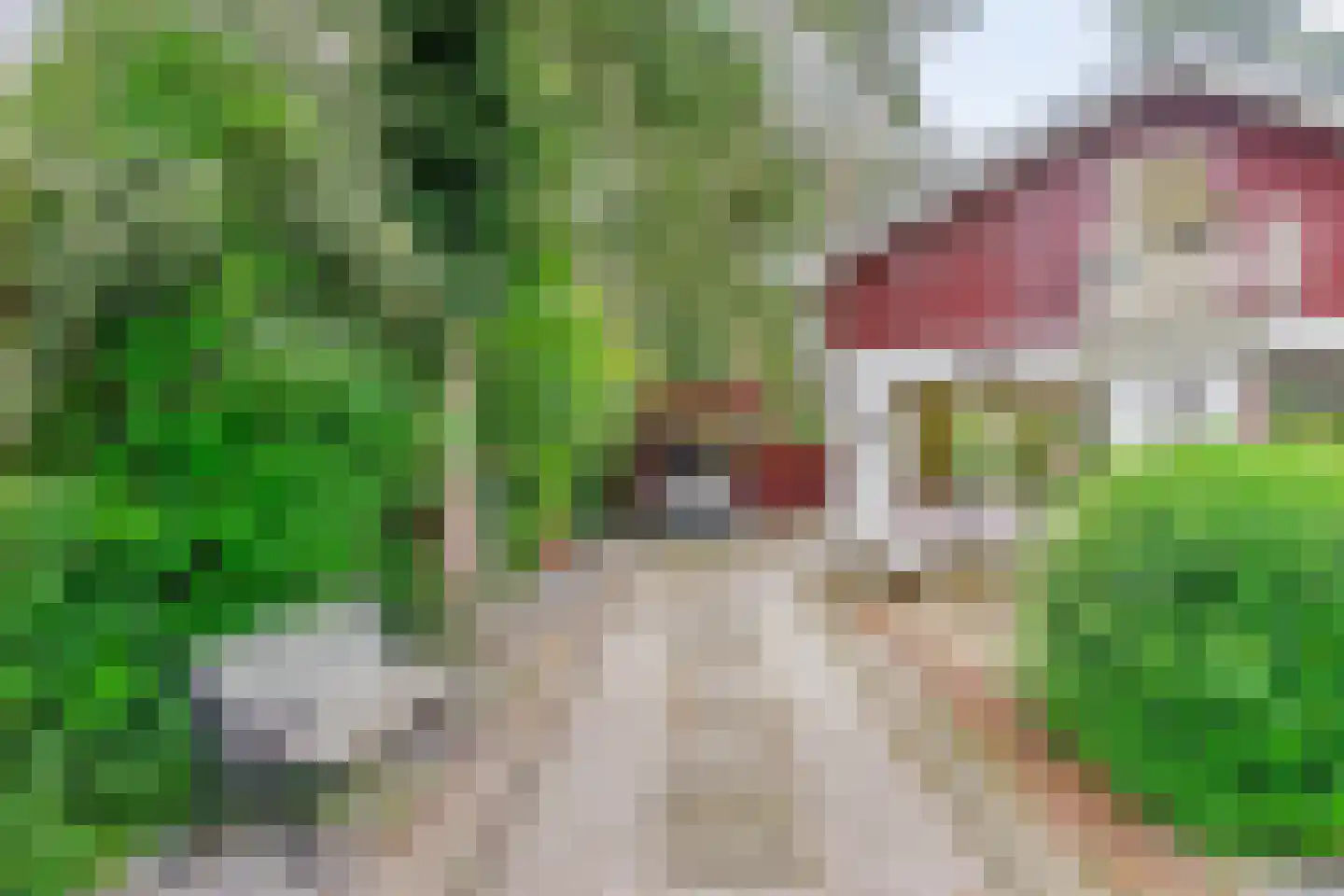 Parklaan 118 Putte thumbnail 25