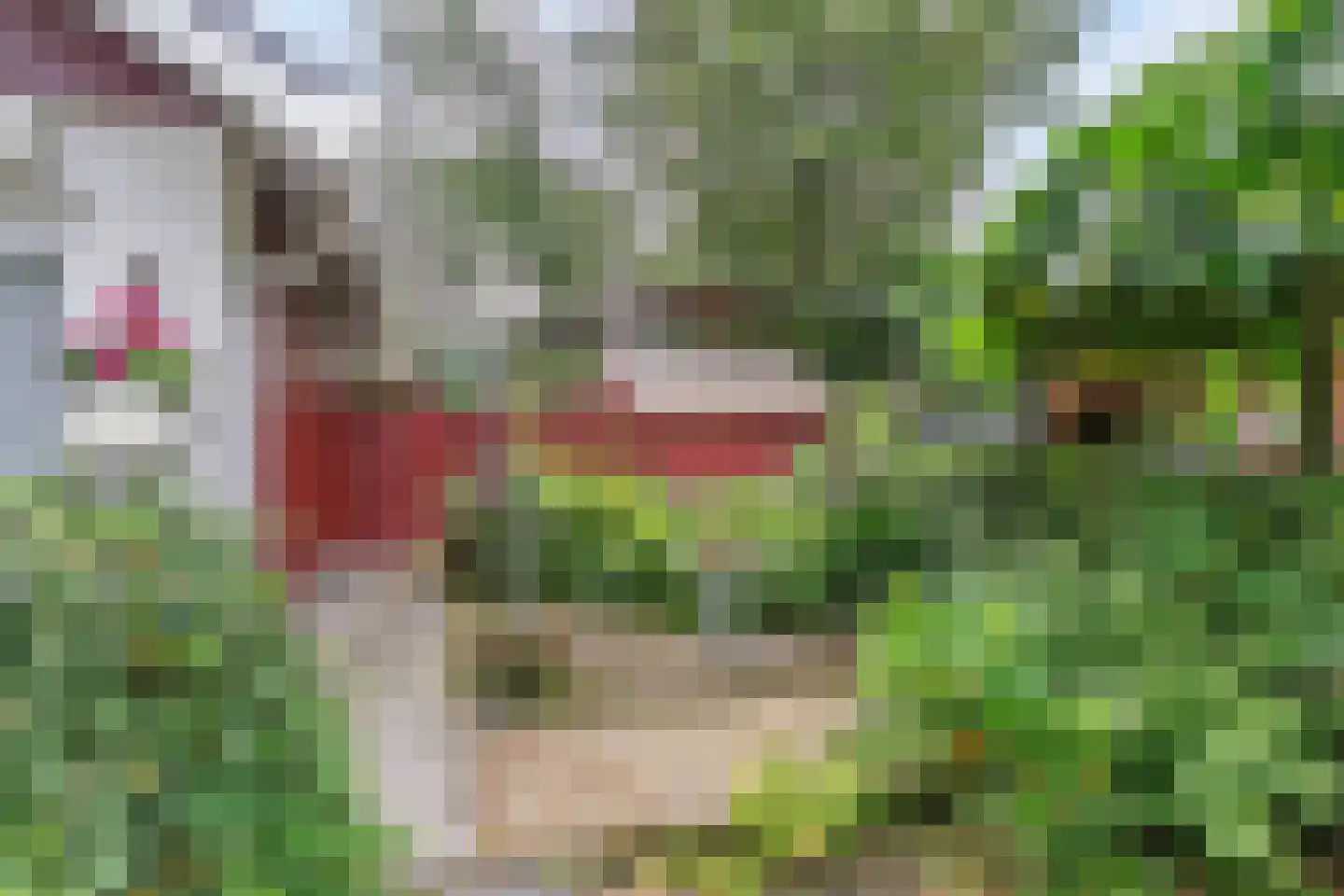 Parklaan 118 Putte thumbnail 28