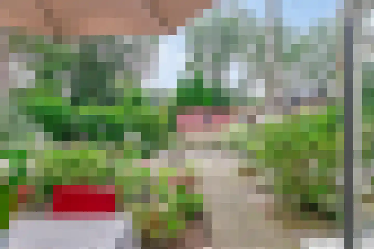 Parklaan 118 Putte thumbnail 30