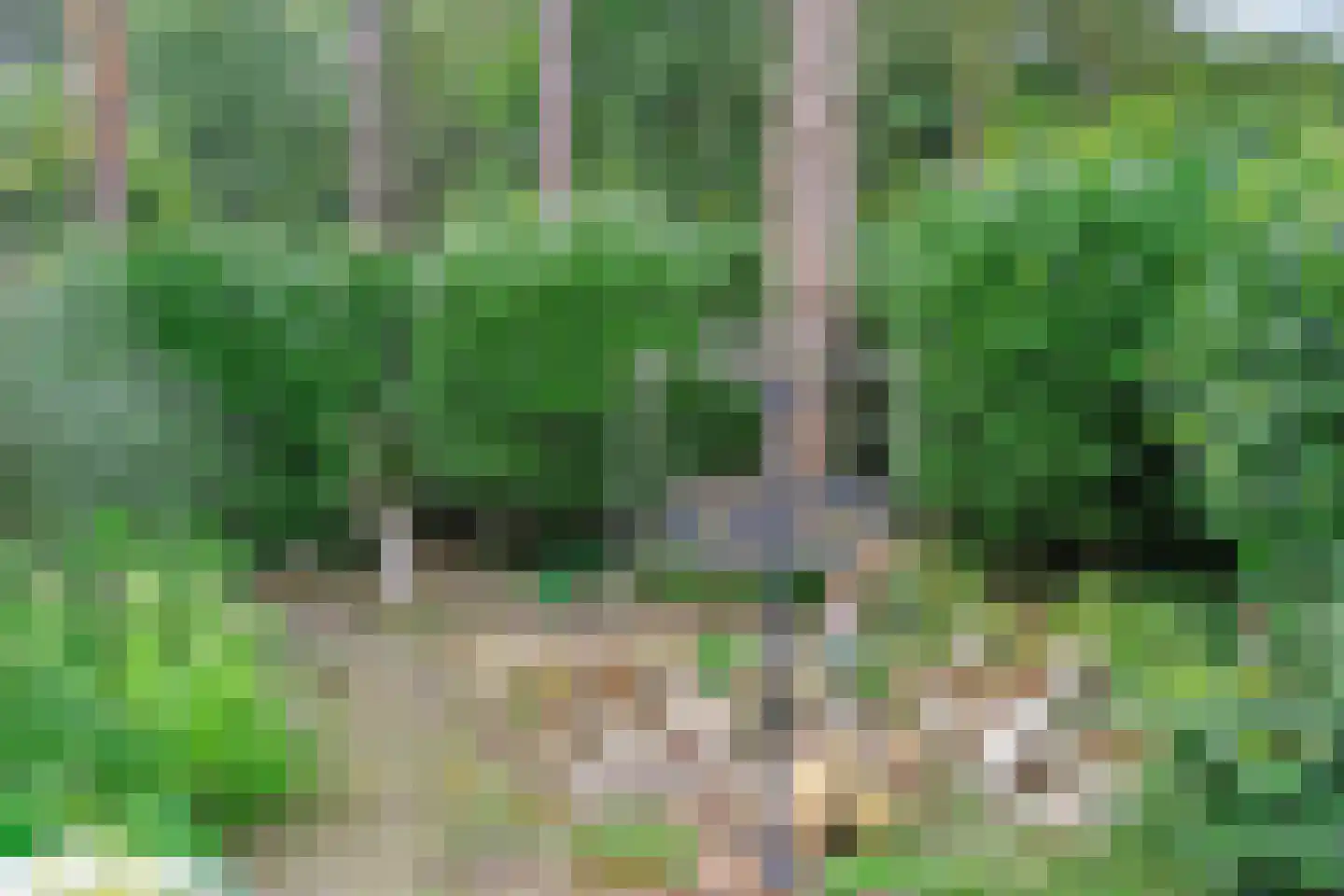 Parklaan 118 Putte thumbnail 34