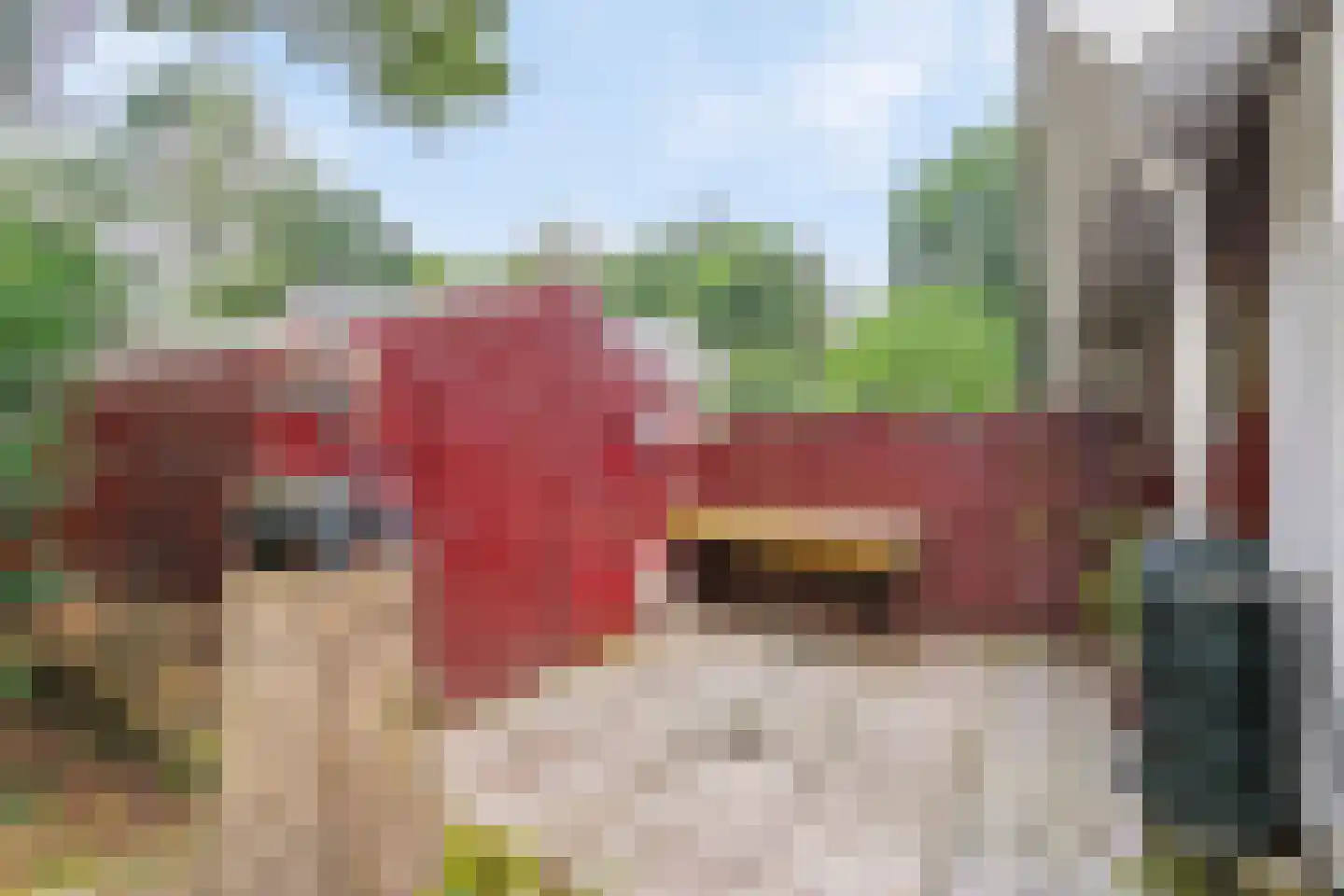 Parklaan 118 Putte thumbnail 35