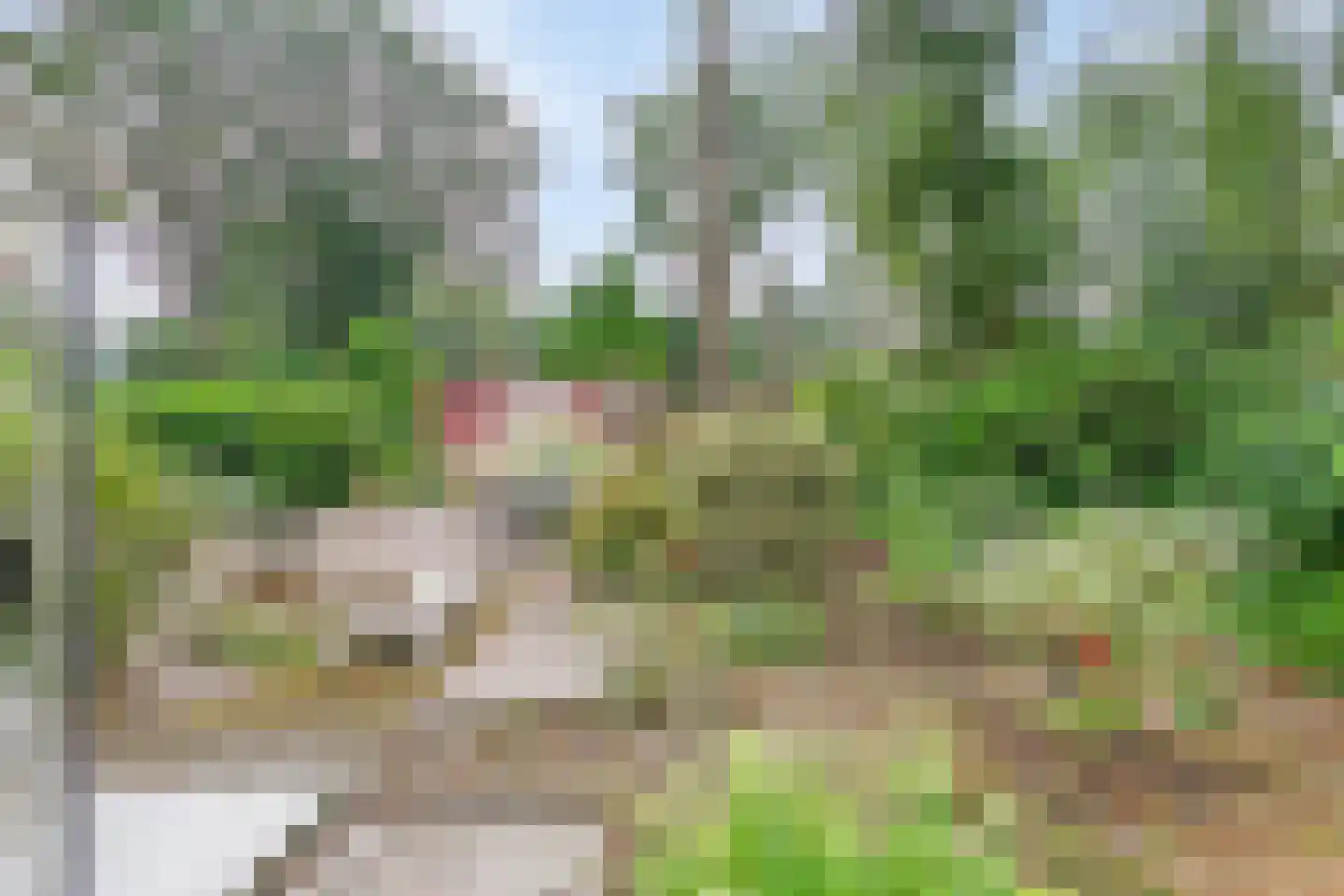 Parklaan 118 Putte thumbnail 36
