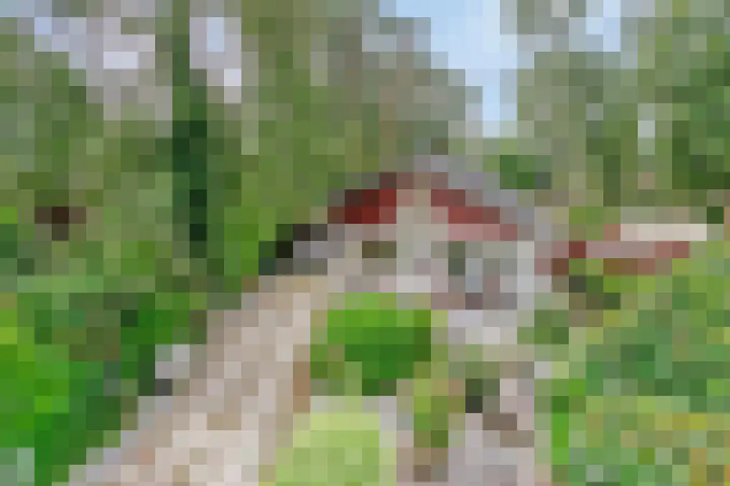Parklaan 118 Putte thumbnail 39