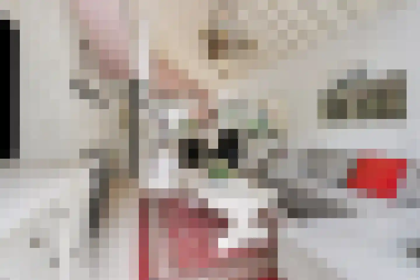 Parklaan 118 Putte thumbnail 4