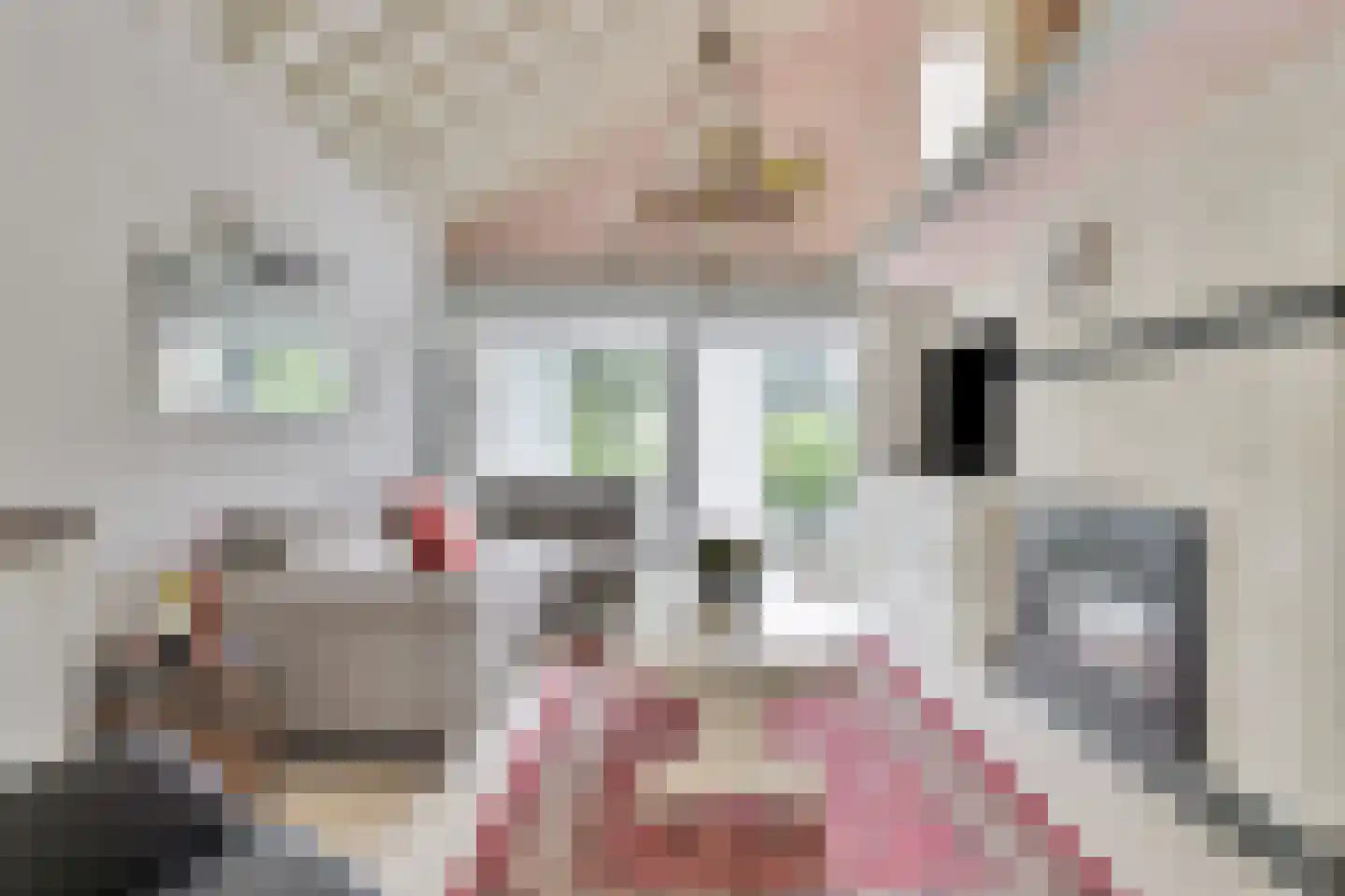 Parklaan 118 Putte thumbnail 5
