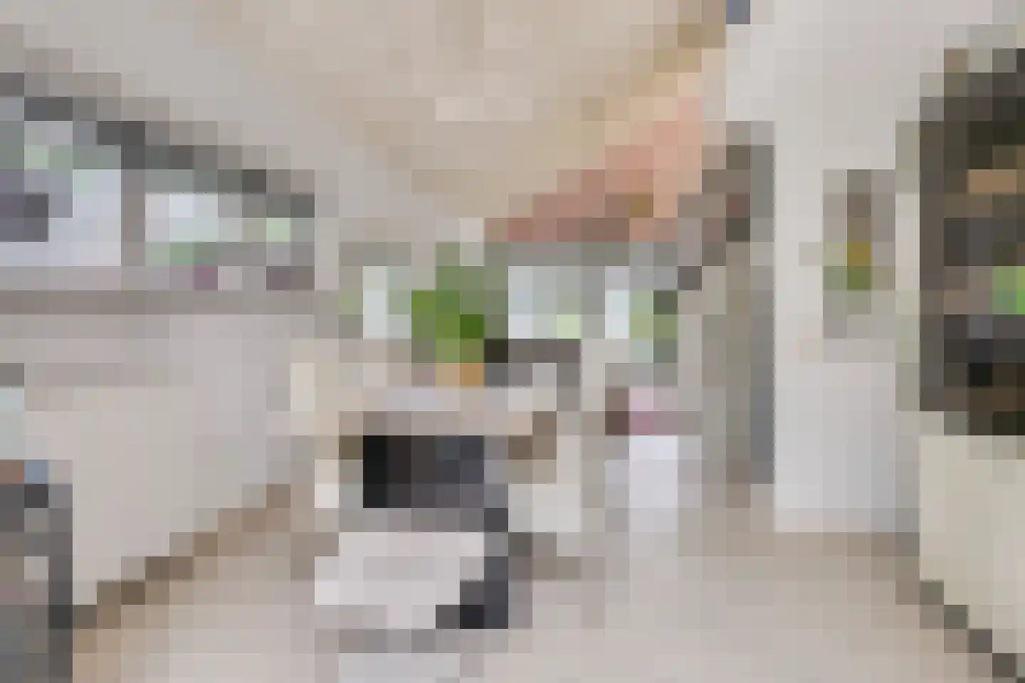 Parklaan 118 Putte thumbnail 8