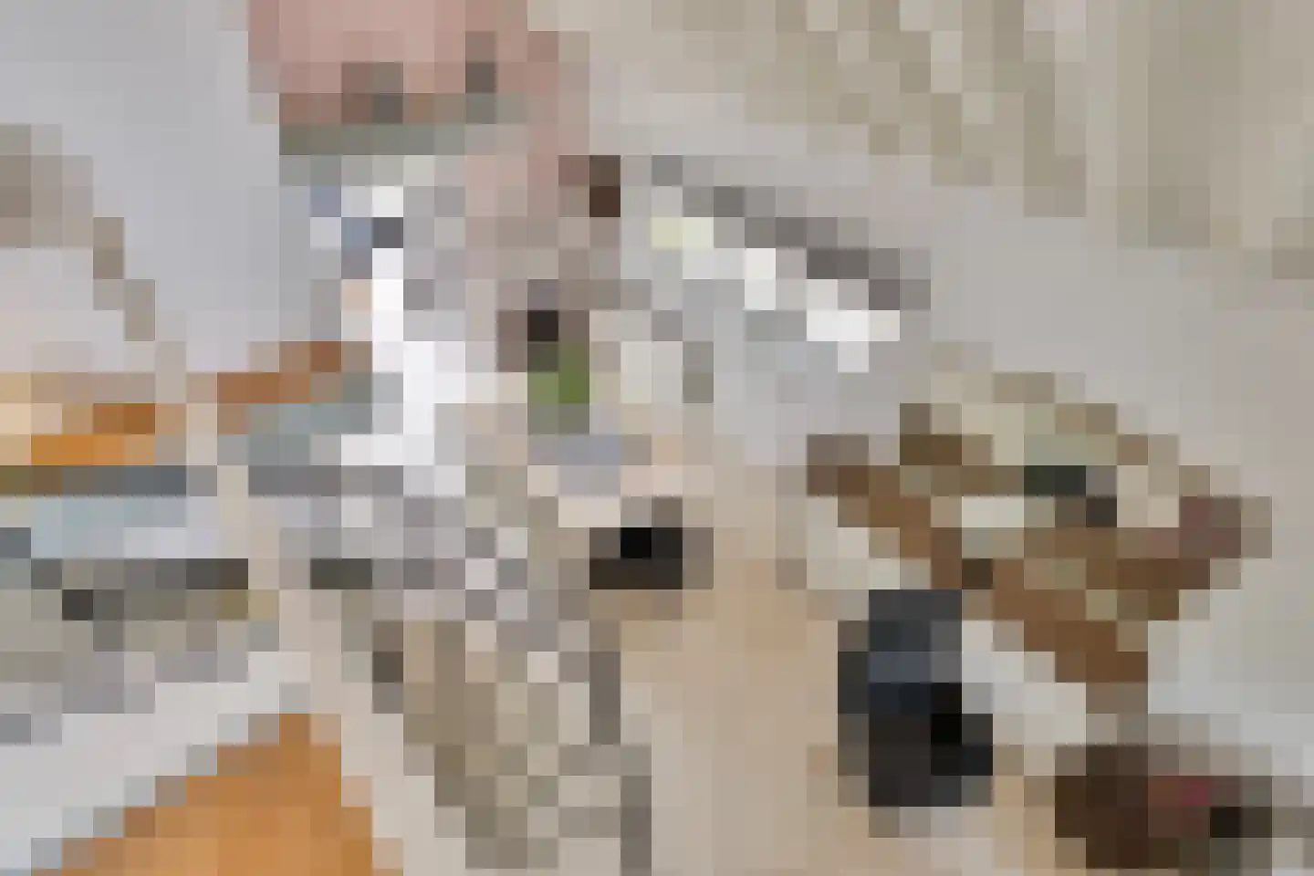 Parklaan 118 Putte thumbnail 9