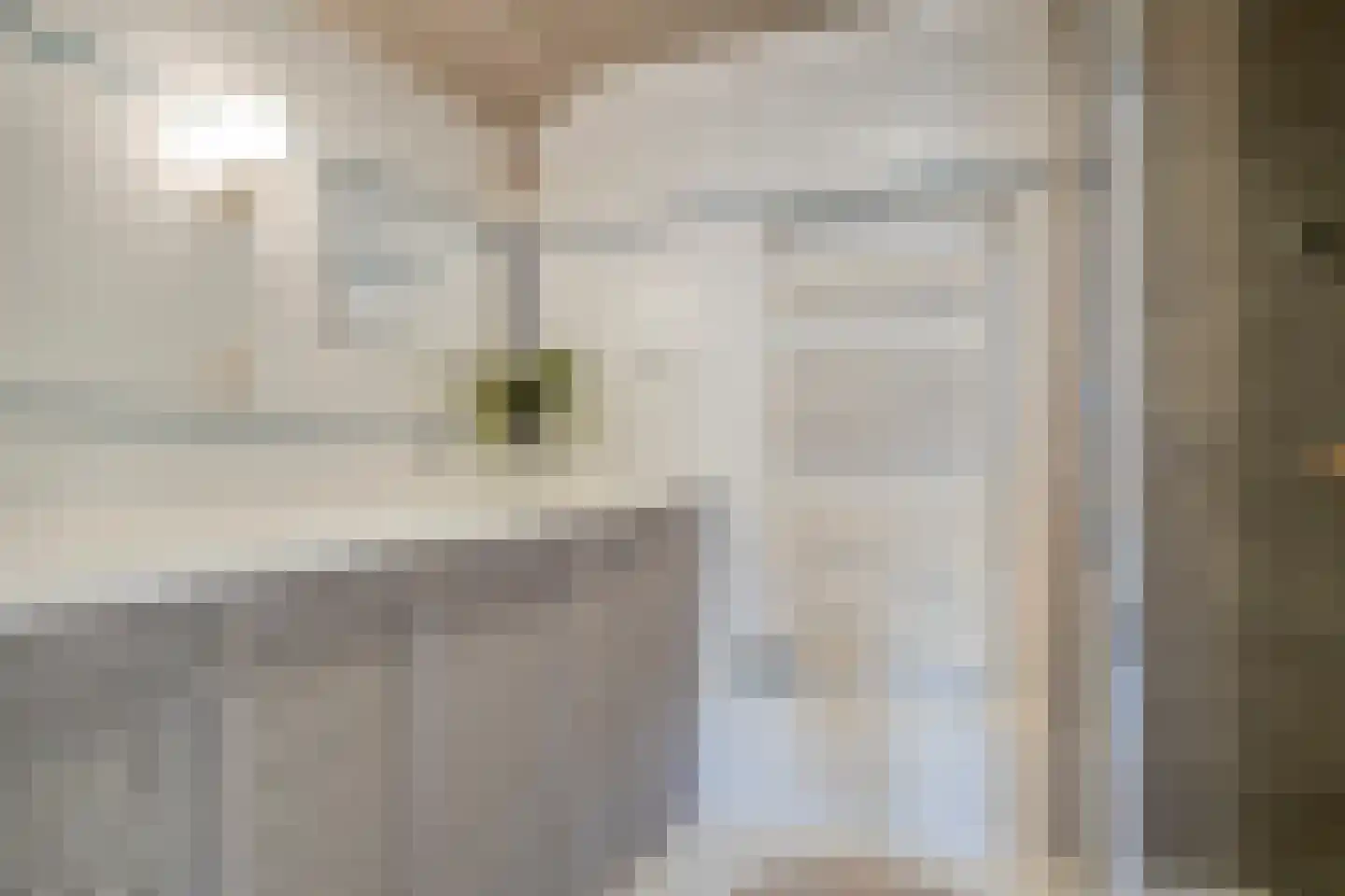 Parklaan 12 Blijham thumbnail 24