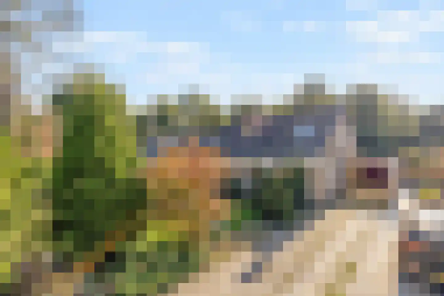 Parklaan 12 Blijham thumbnail 33