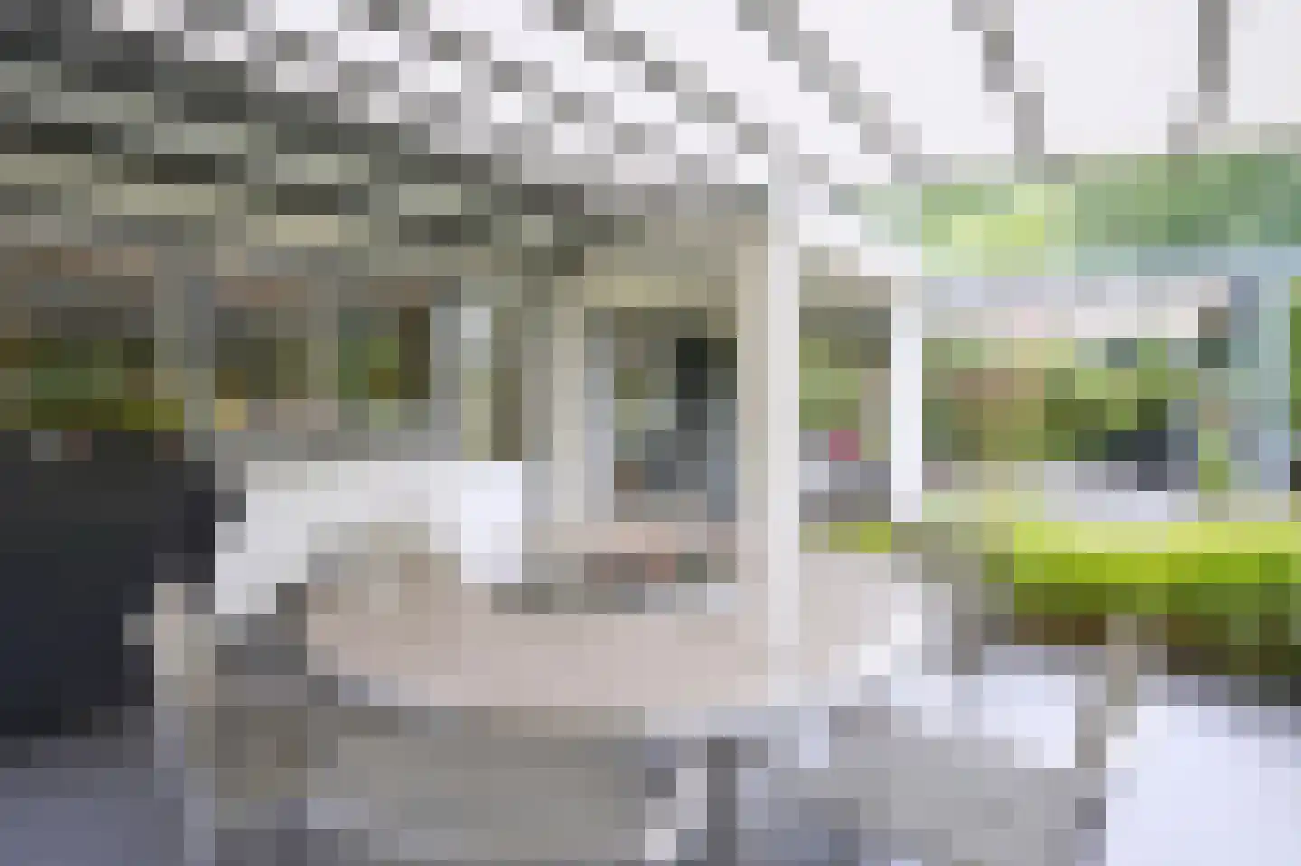 Parklaan 12 Vaals thumbnail 39