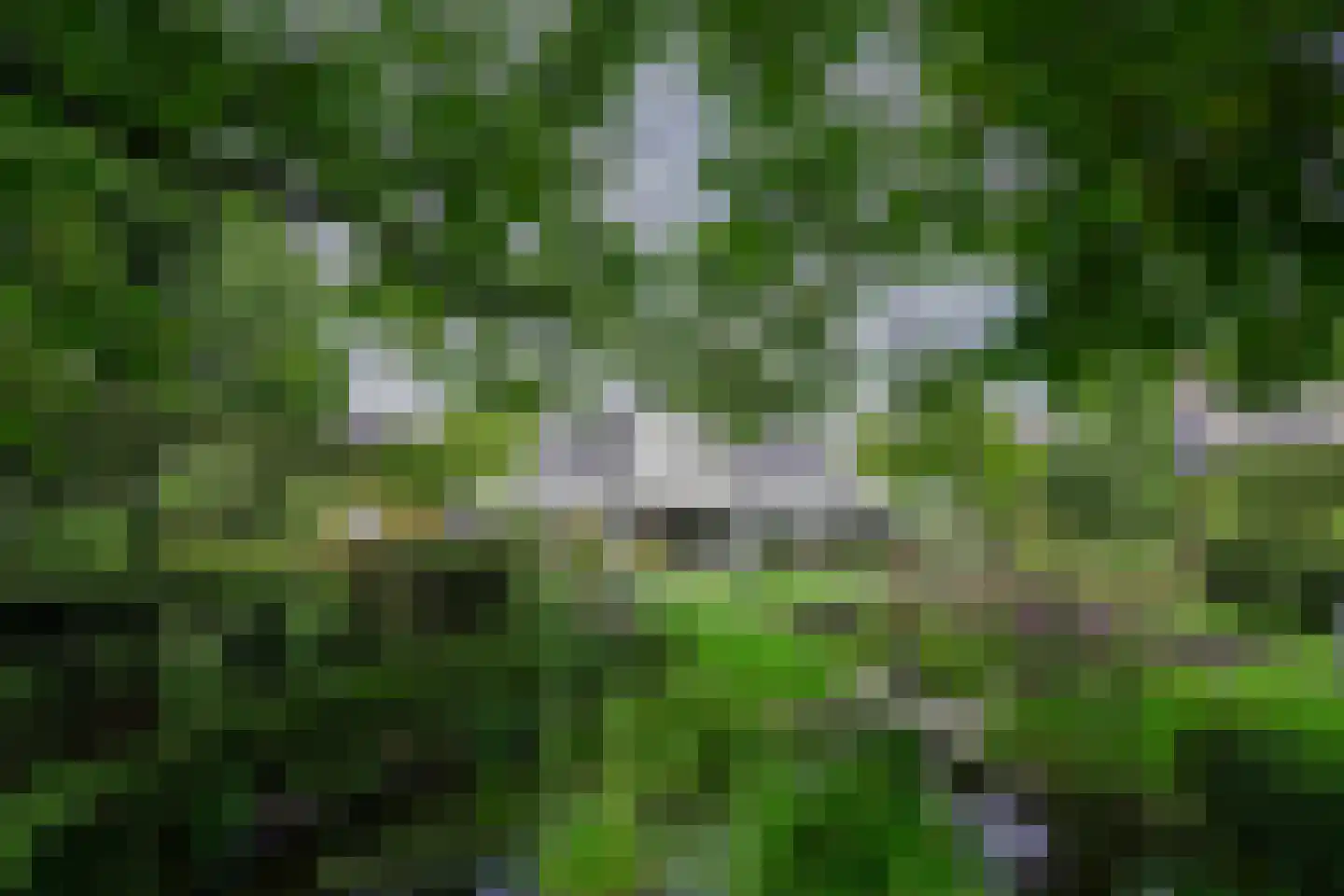 Parklaan 12 Vaals thumbnail 43