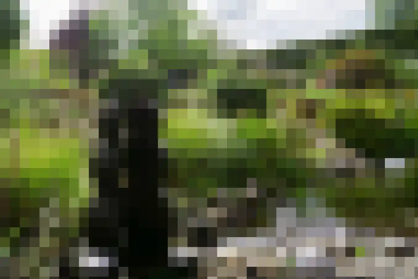 Parklaan 12 Vaals thumbnail 46