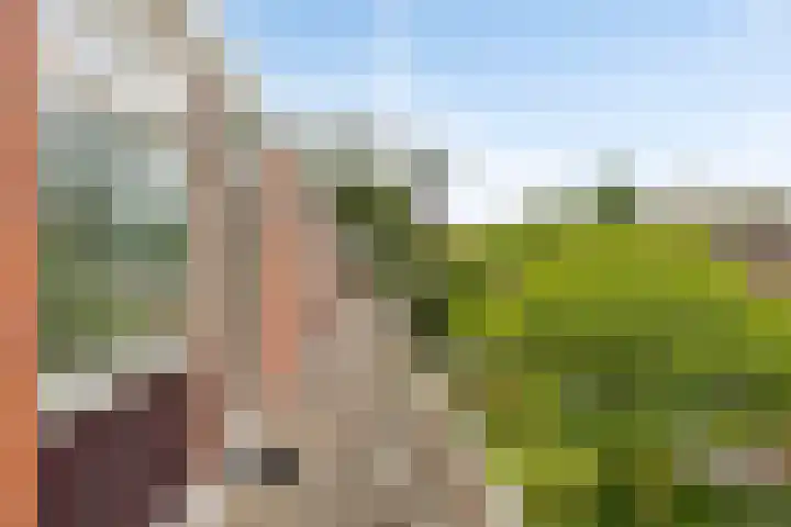 Parklaan 12 Winschoten thumbnail 18