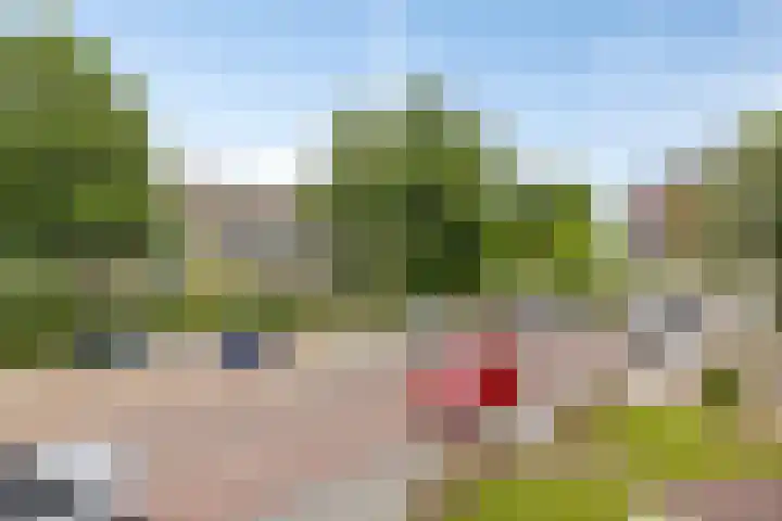 Parklaan 12 Winschoten thumbnail 23