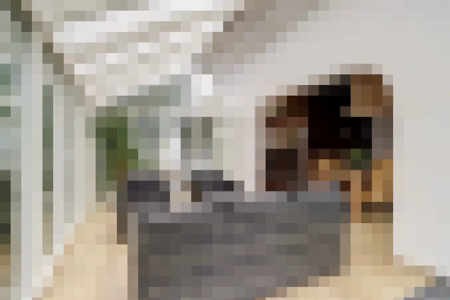 Parklaan 120 Putte thumbnail 12