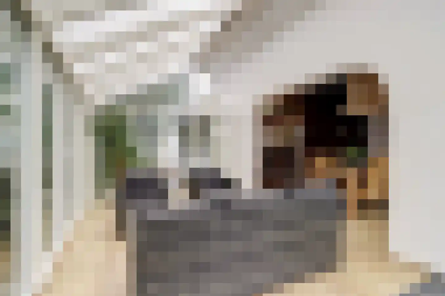 Parklaan 120 Putte thumbnail 12