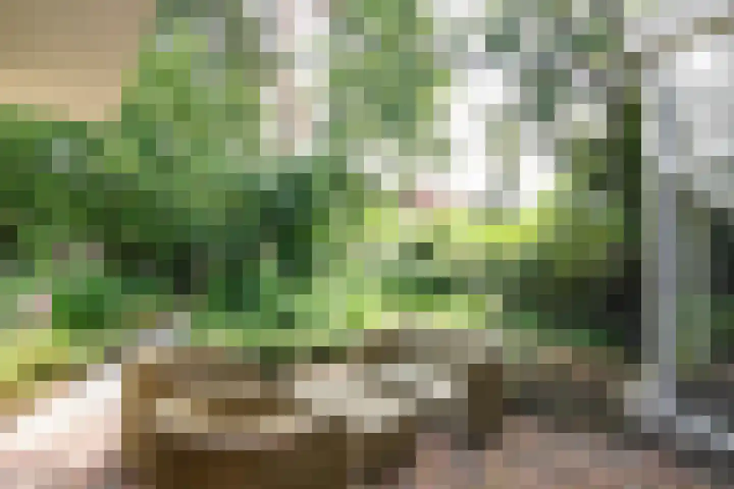 Parklaan 120 Putte thumbnail 26
