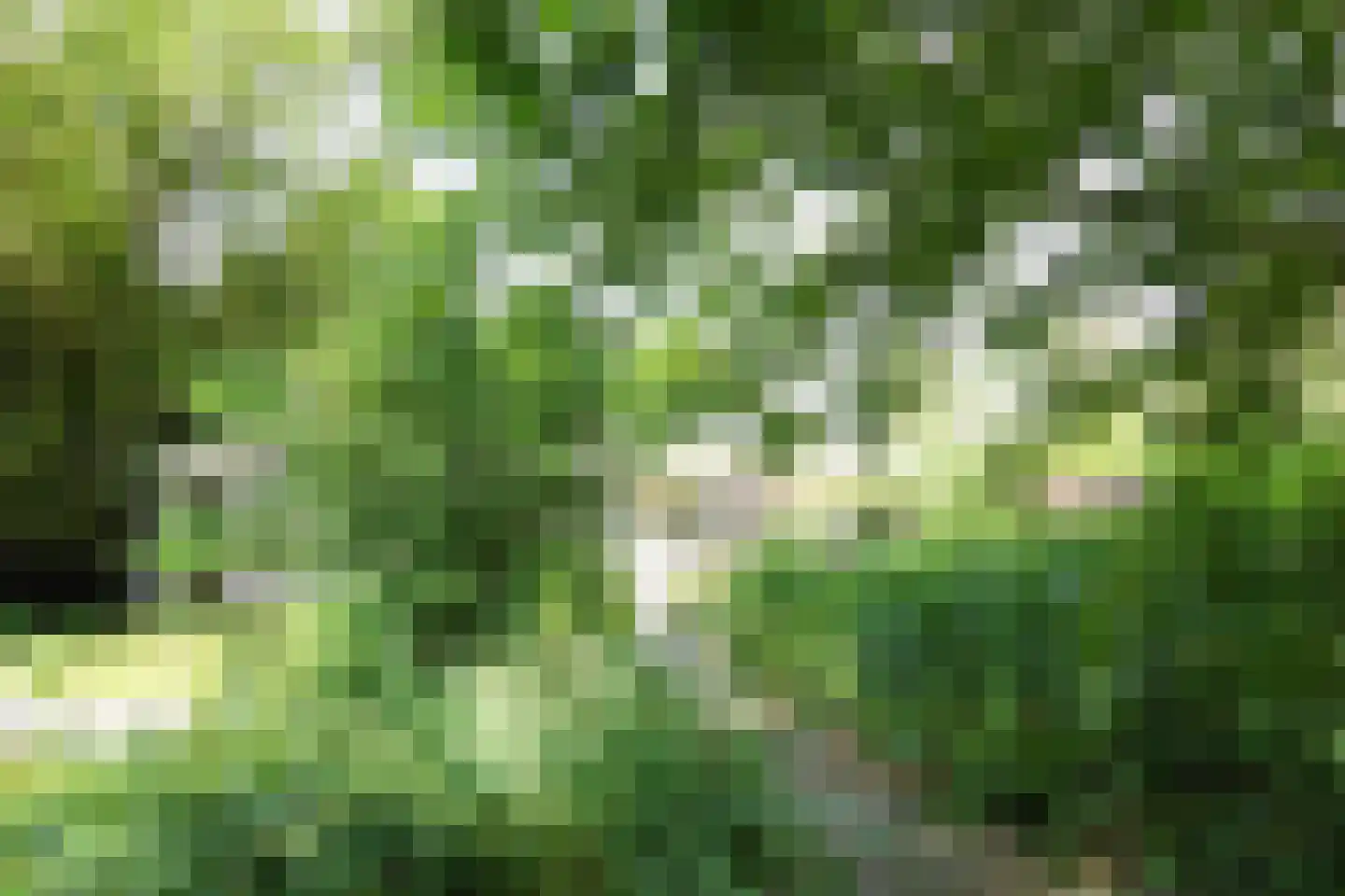 Parklaan 120 Putte thumbnail 28