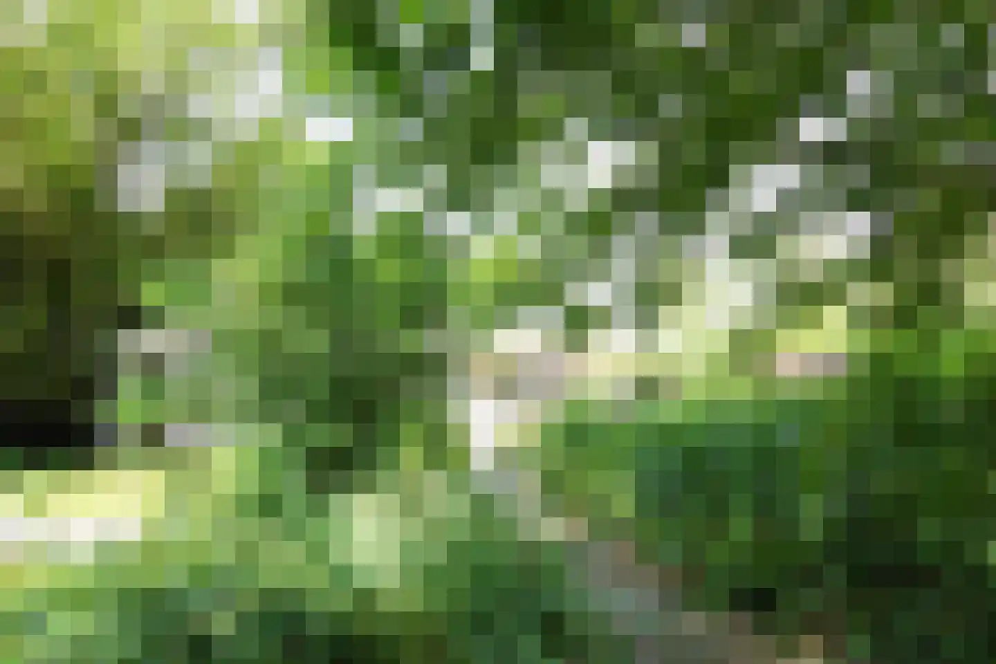 Parklaan 120 Putte thumbnail 28