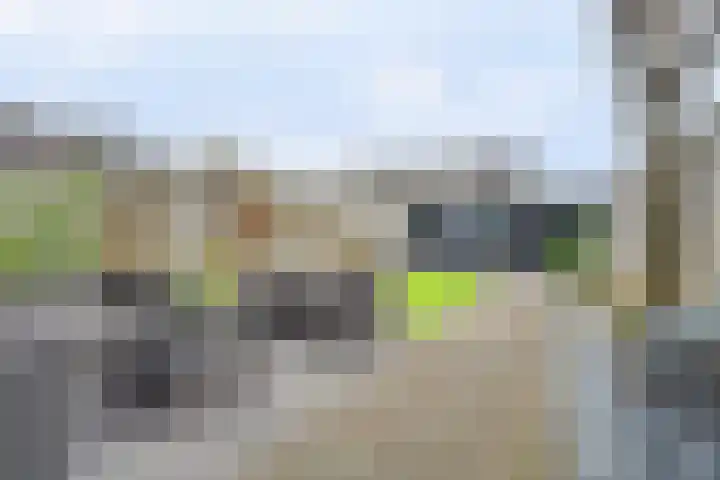 Parklaan 120 Putte thumbnail 32