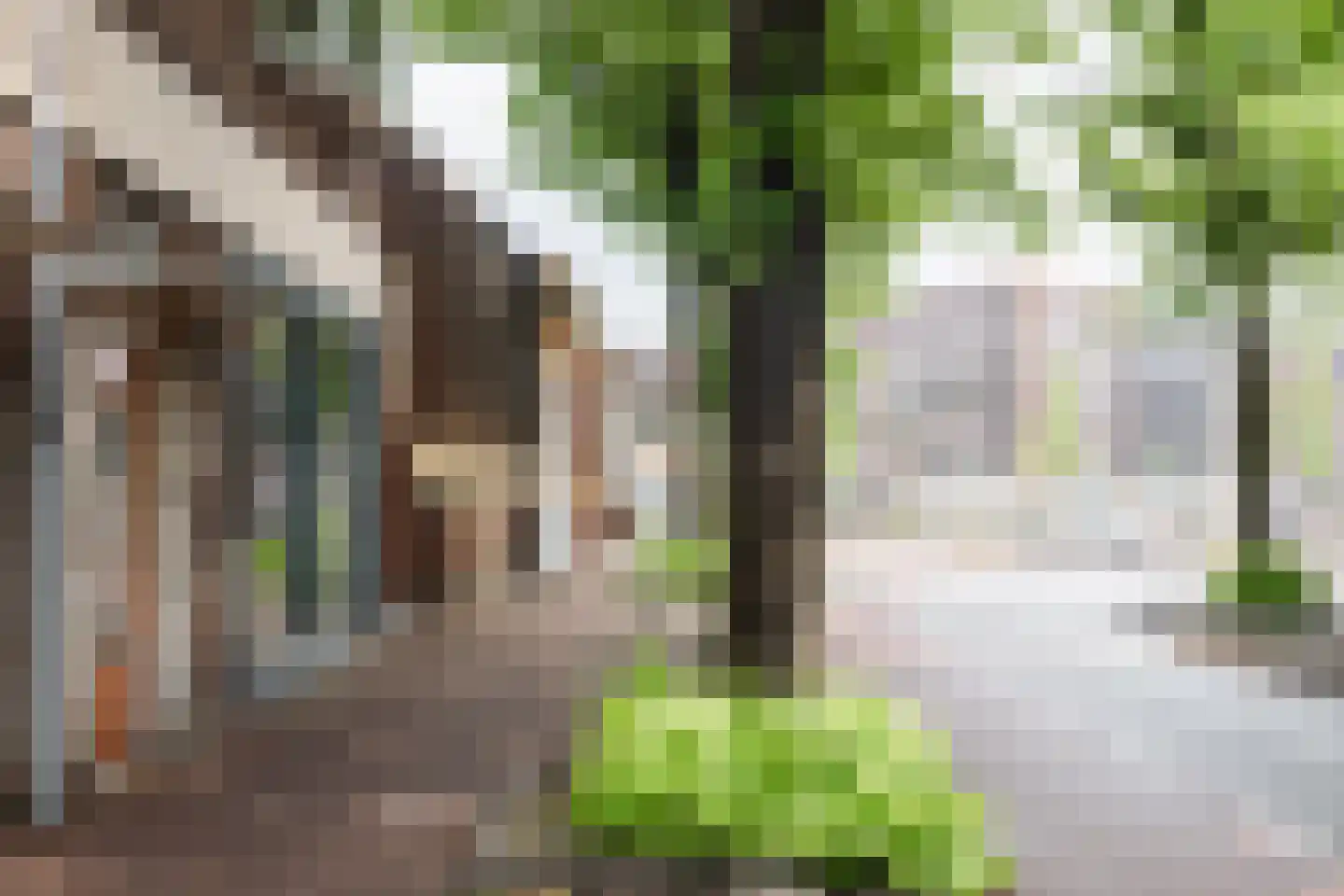 Parklaan 129 131 Haarlem thumbnail 6