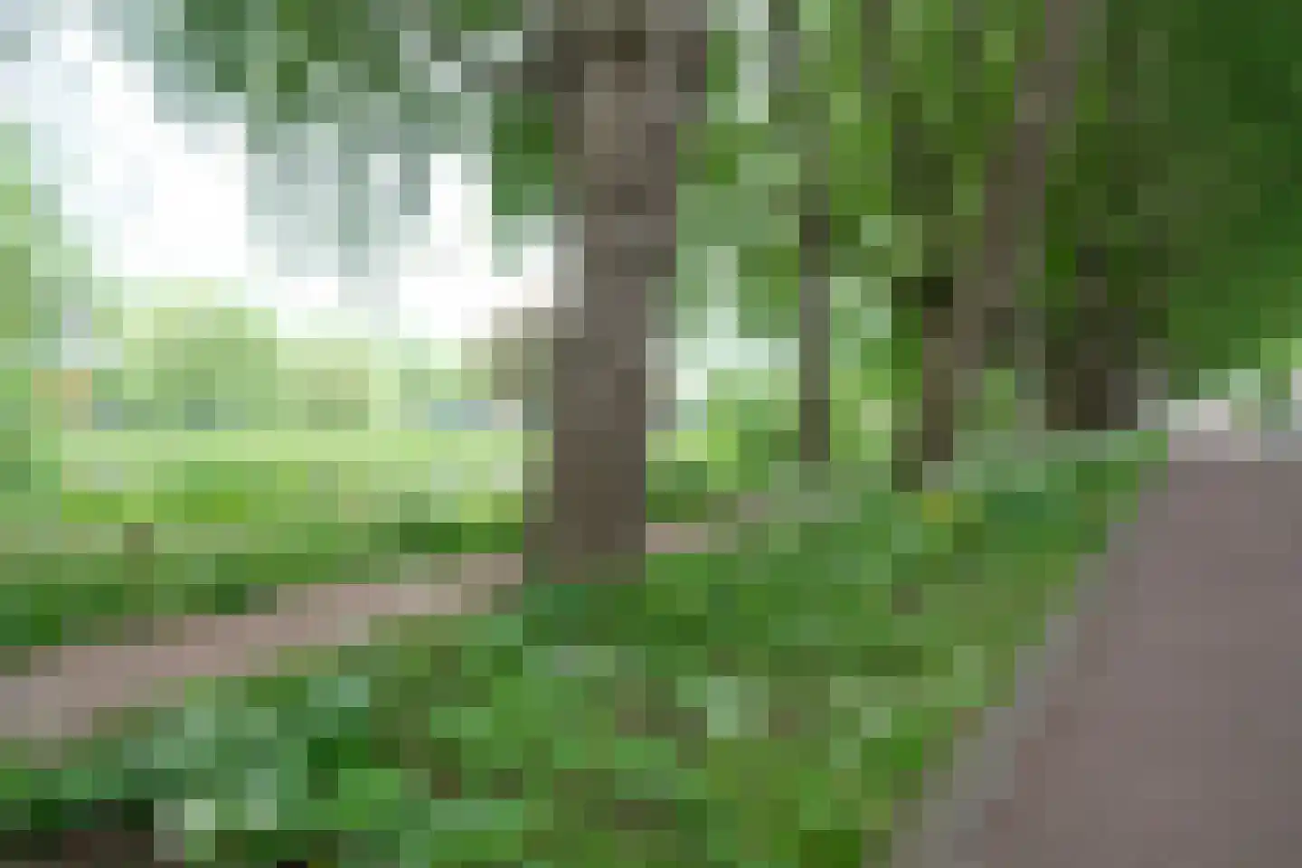 Parklaan 129 Culemborg thumbnail 12