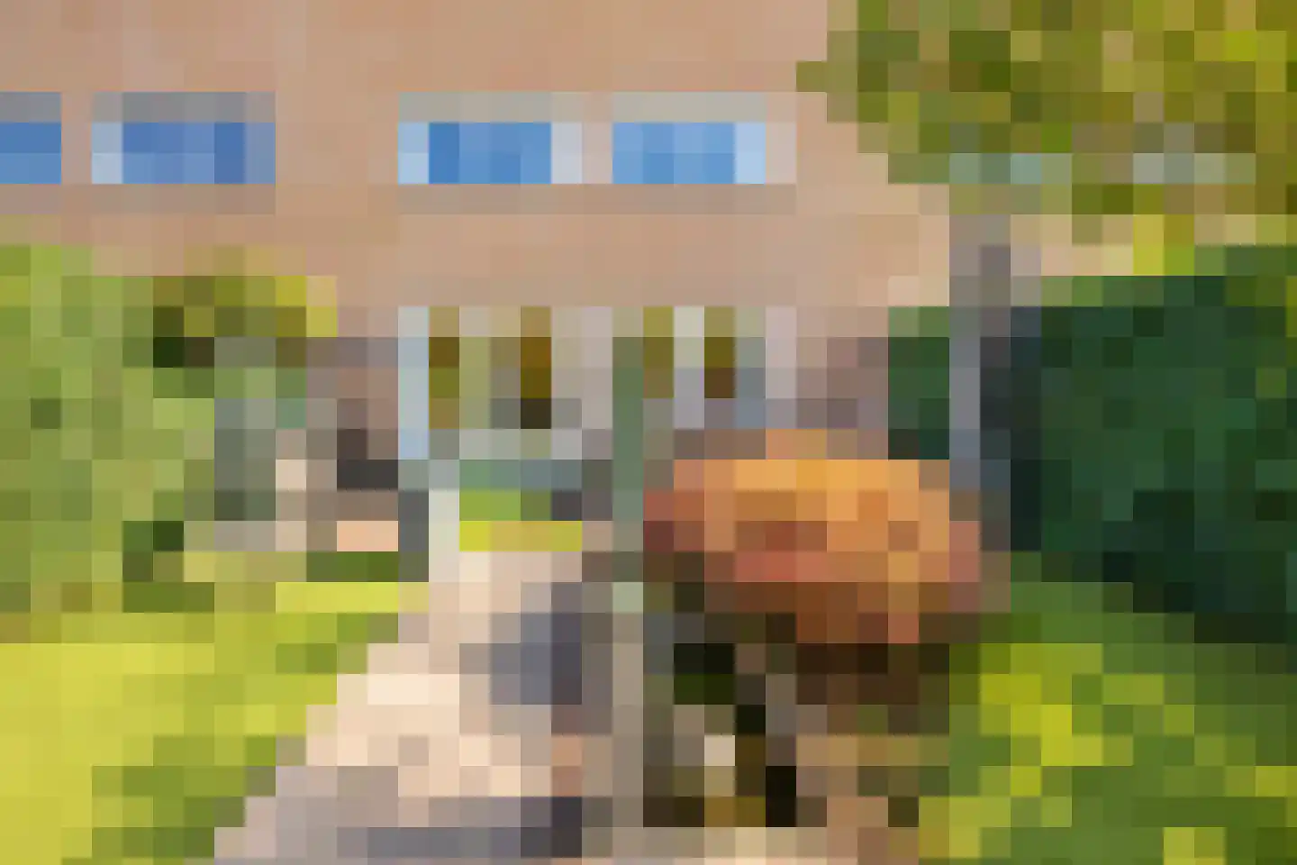 Parklaan 13 3 Sittard thumbnail 29