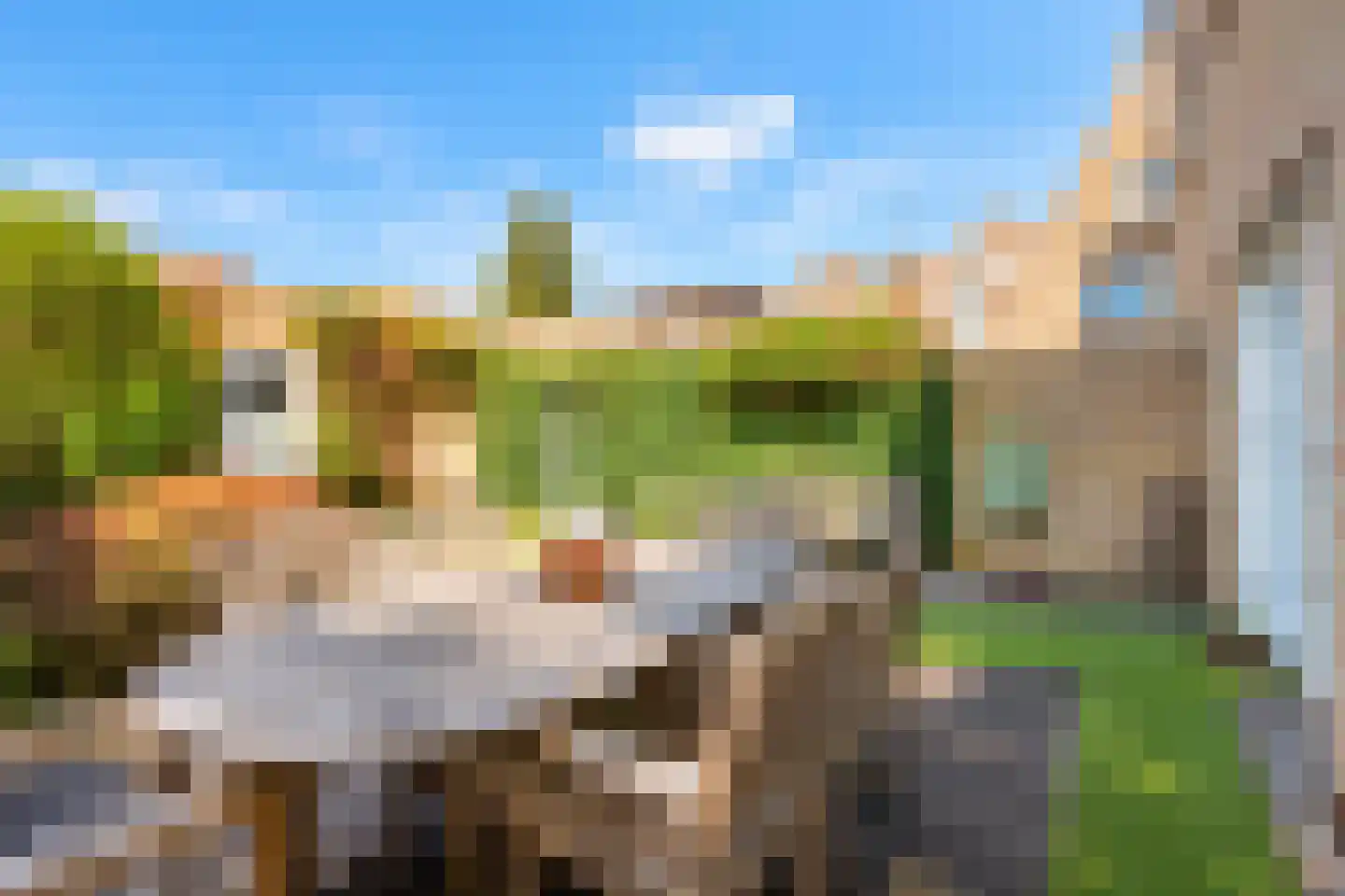 Parklaan 13 3 Sittard thumbnail 31