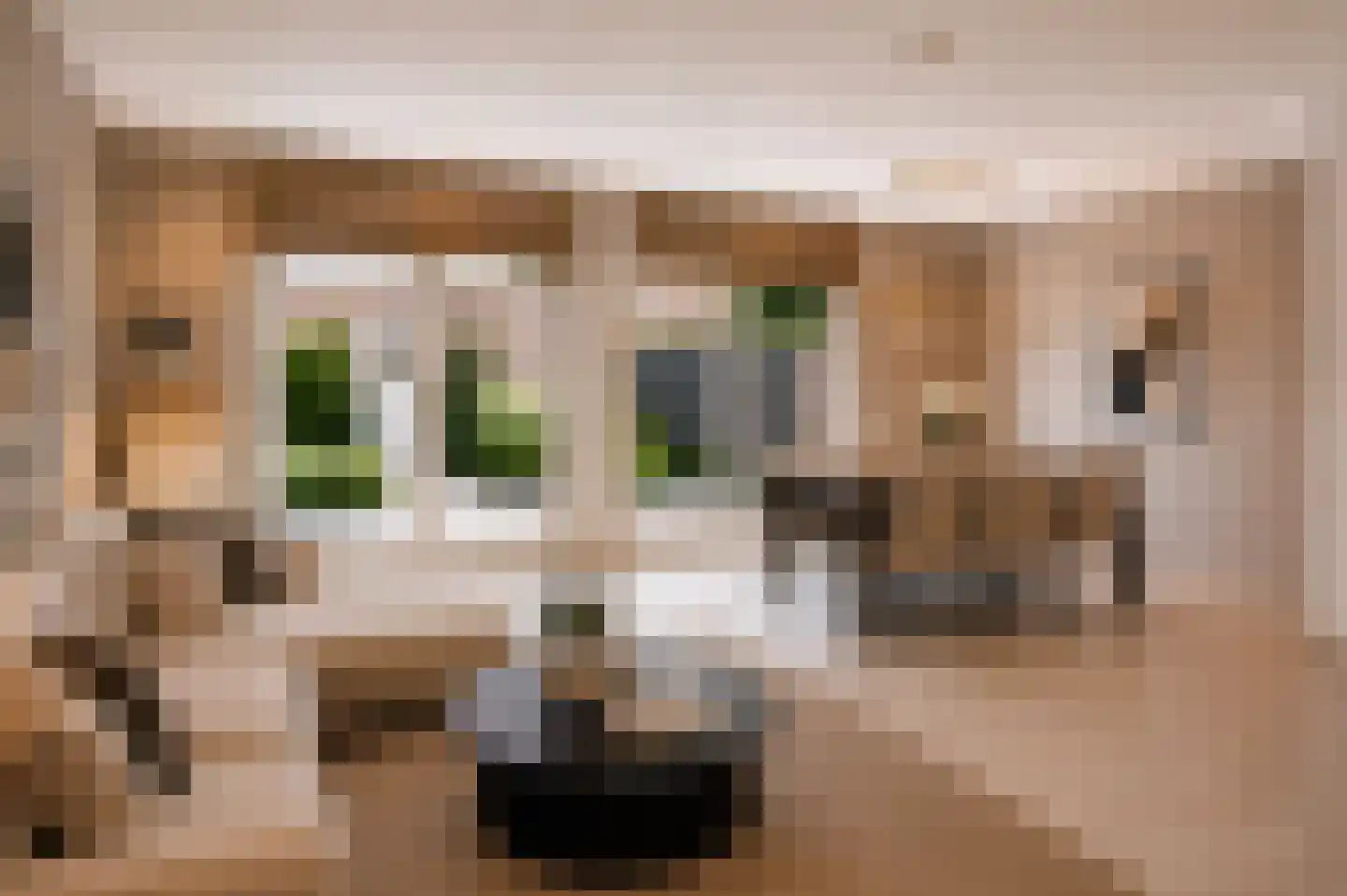 Parklaan 13 4 Sittard thumbnail 14