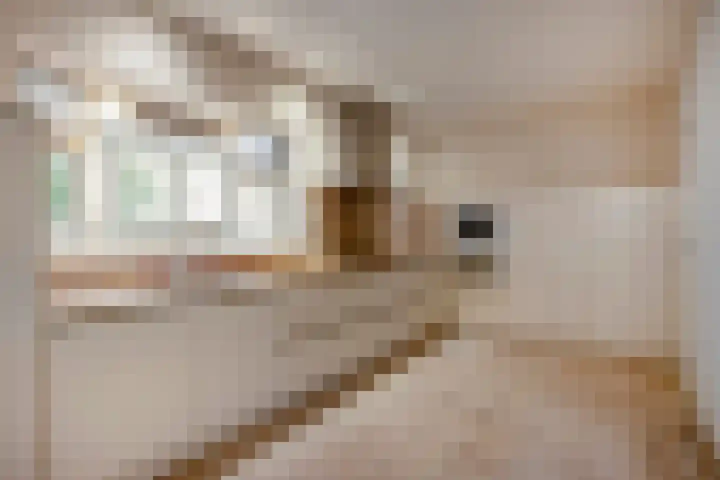 Parklaan 13 4 Sittard thumbnail 4