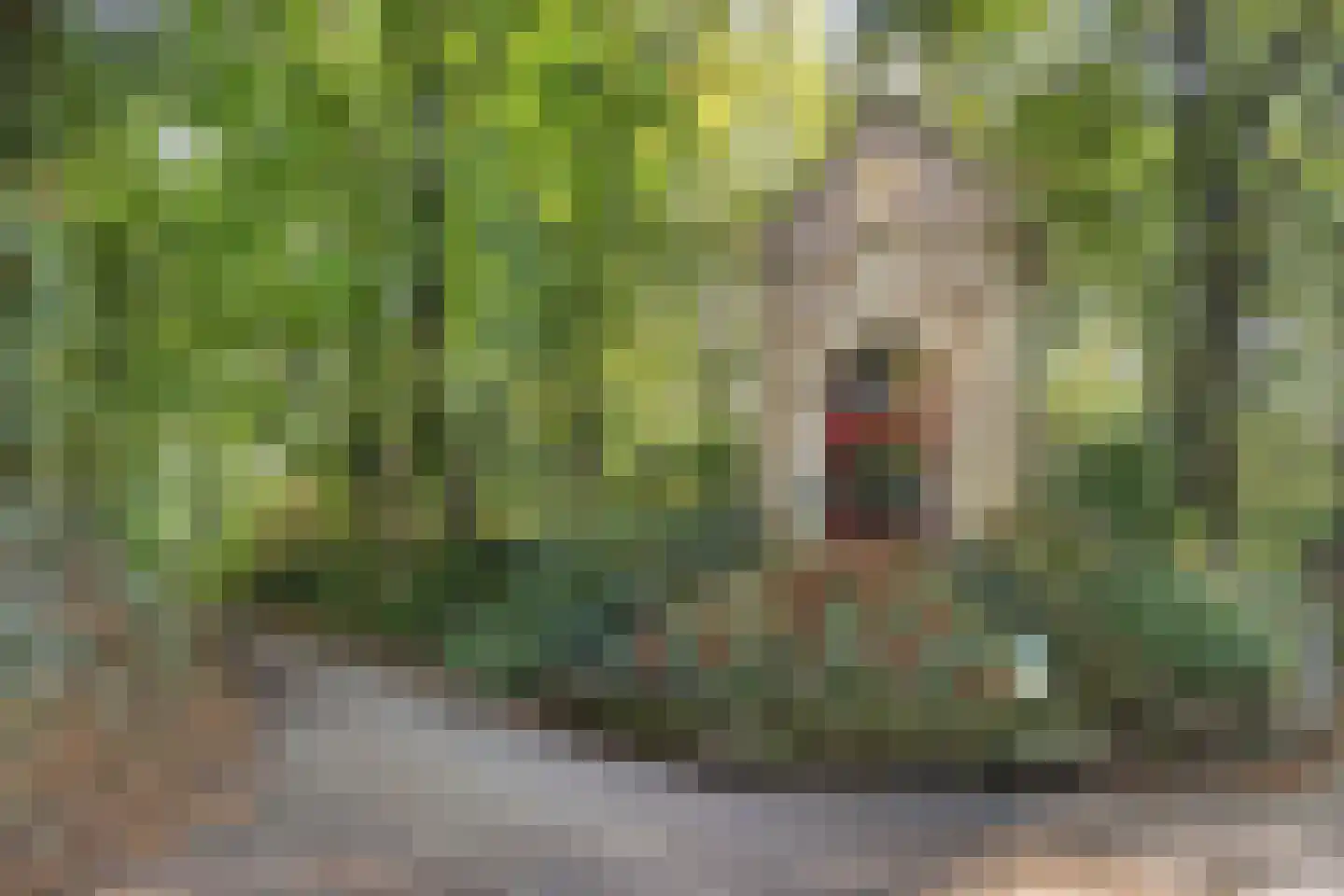 Parklaan 13 7 Sittard thumbnail 45