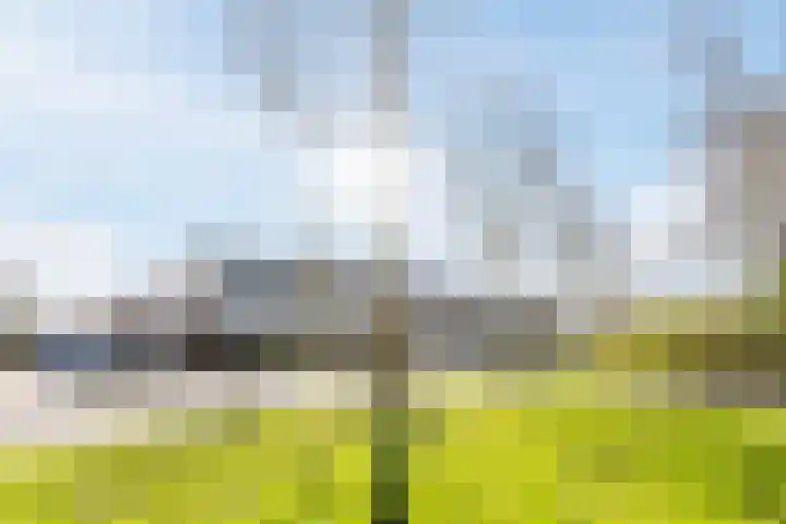 Parklaan 13 Montfoort thumbnail 38