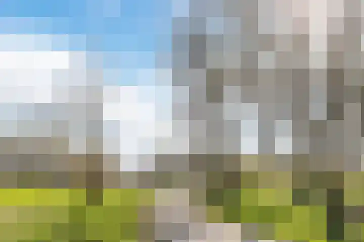 Parklaan 13 Montfoort thumbnail 41