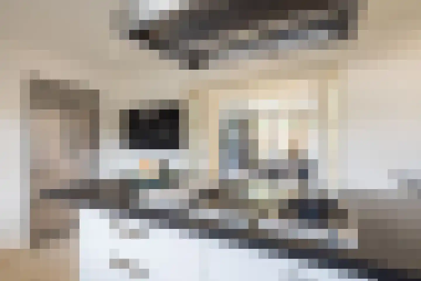 Parklaan 13 Waalre thumbnail 18