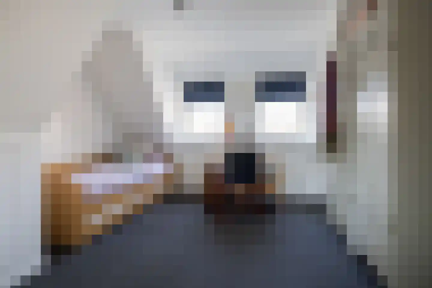 Parklaan 13 Waalre thumbnail 28