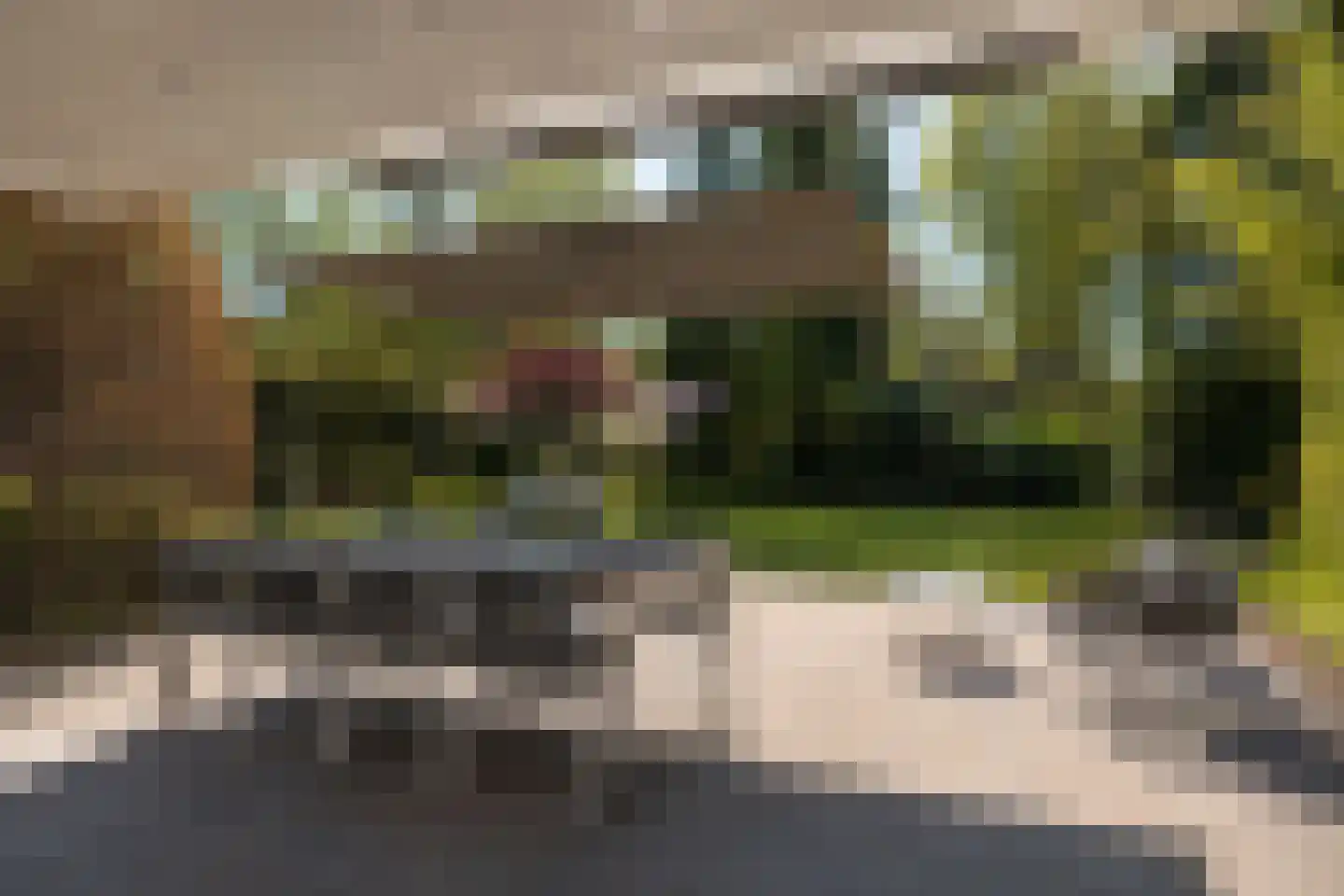 Parklaan 13 Waalre thumbnail 32
