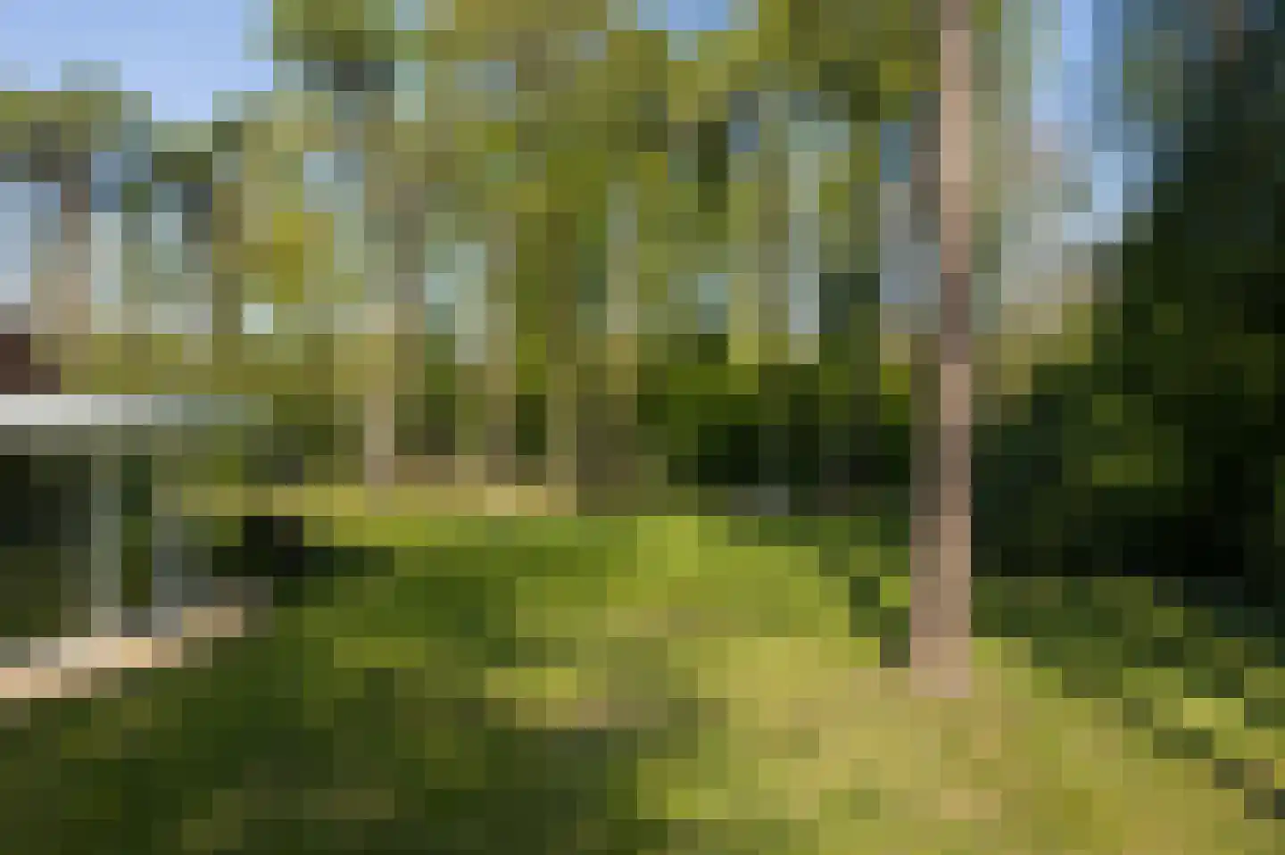 Parklaan 13 Waalre thumbnail 33