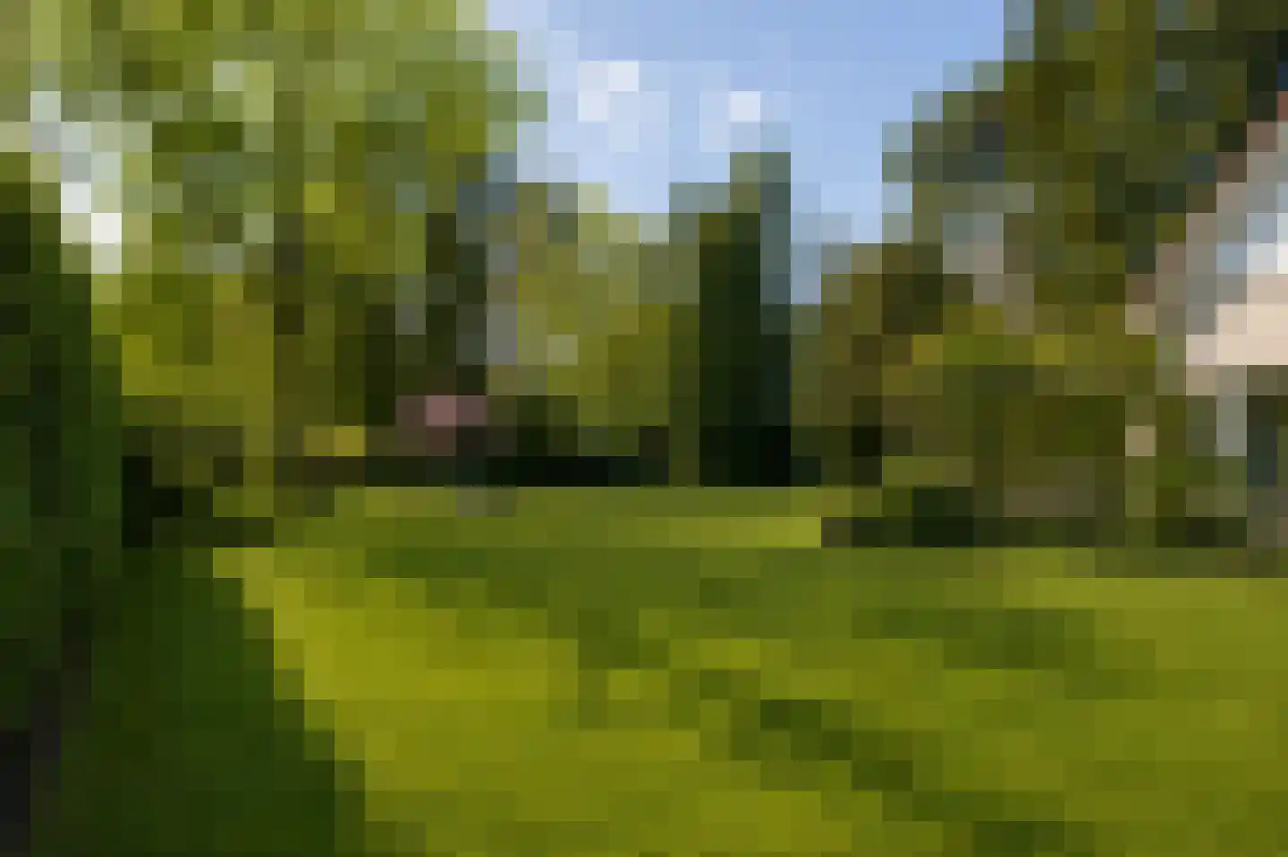 Parklaan 13 Waalre thumbnail 35